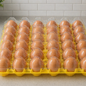 Eggs Tray
